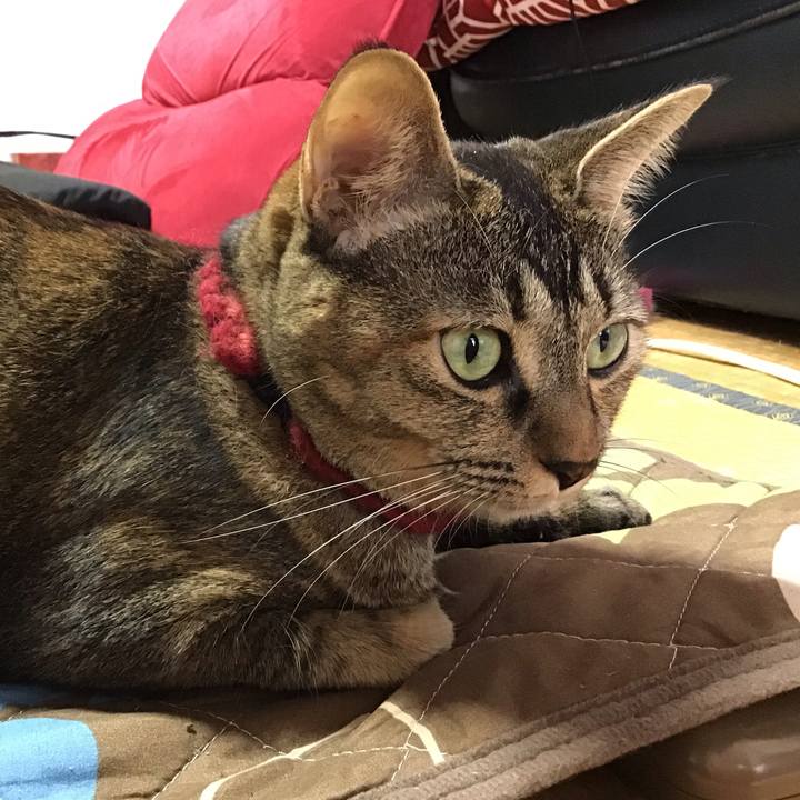 E323242f 275f 402f 9b31 aaae4060b7e5 1602728884067