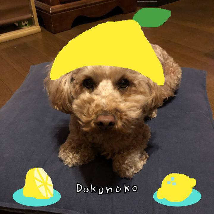 E3232b2e 0a3a 491c 8e9d 4617e9f7dd9f 1741490369732