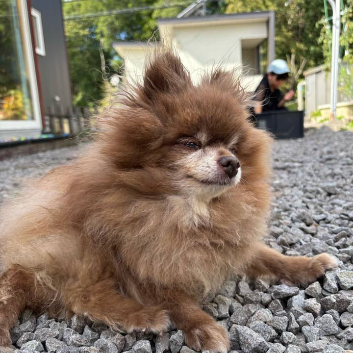 E3237900 b52b 4867 93a4 c0e2e3cc3de6 1789513836674