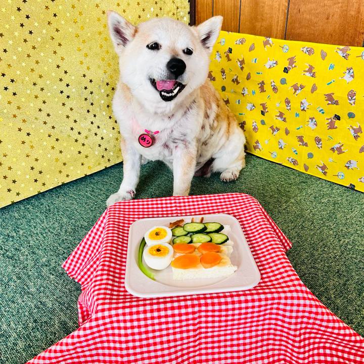 E323965c 50d1 487f b75a 7a29dbfa2c46 1746421098707