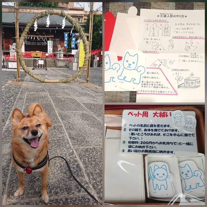 E323e48a d41b 4397 a33e 19066abd06f6 1624756910909