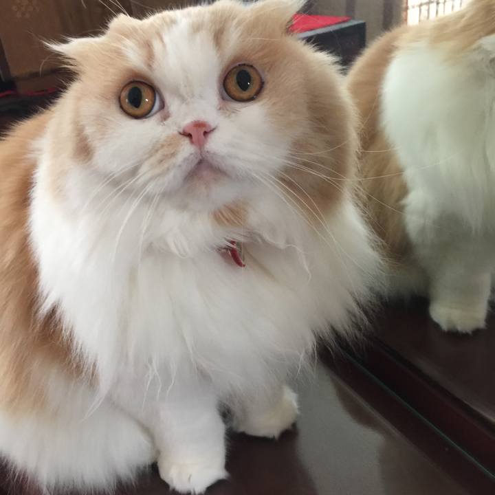 E323f5a0 9c6d 458a bed9 88c1372e1e2c 1587550014924