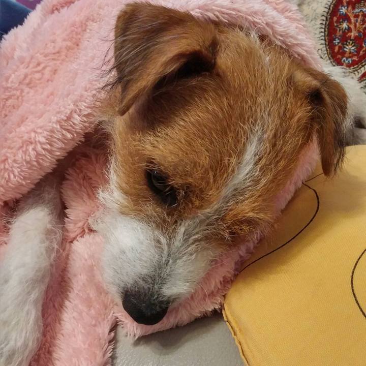 E32427bf fe63 42c5 a6cd 88cb58a51bb8 1539473497705