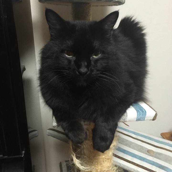 E3246651 50aa 4c56 ab7d a0360da4eca5 1562508107367