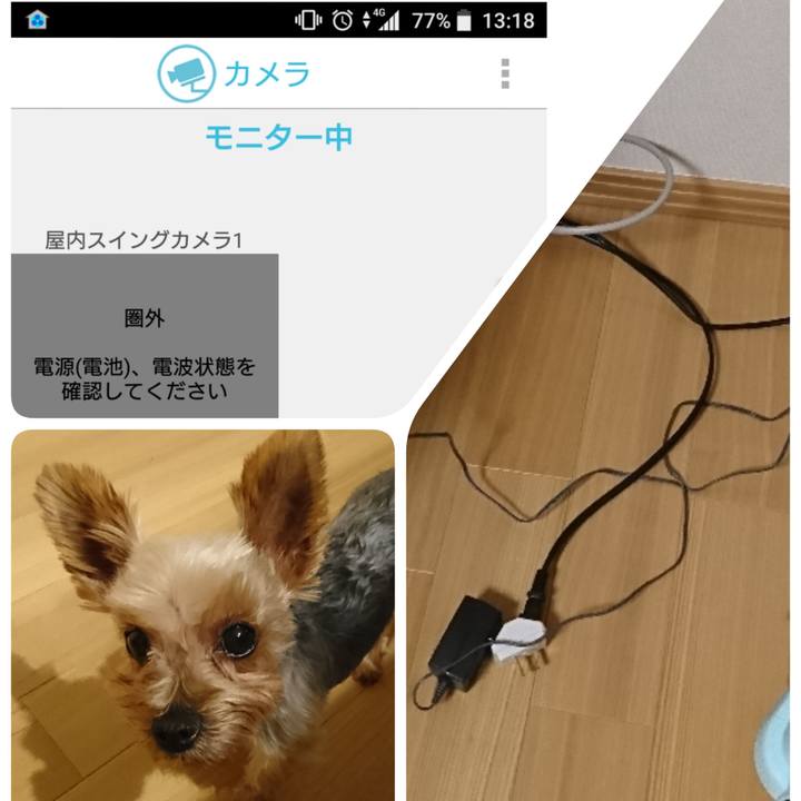 E3247dc1 5f38 4784 a676 30ec7f9845e9 1533041673771