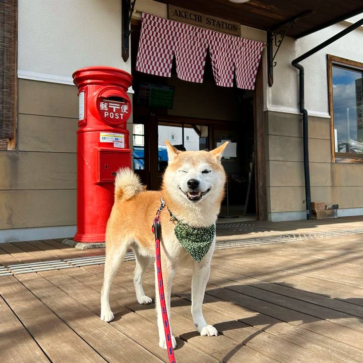 E3248d21 53a9 4622 9063 260106f62ac7 1737370720120