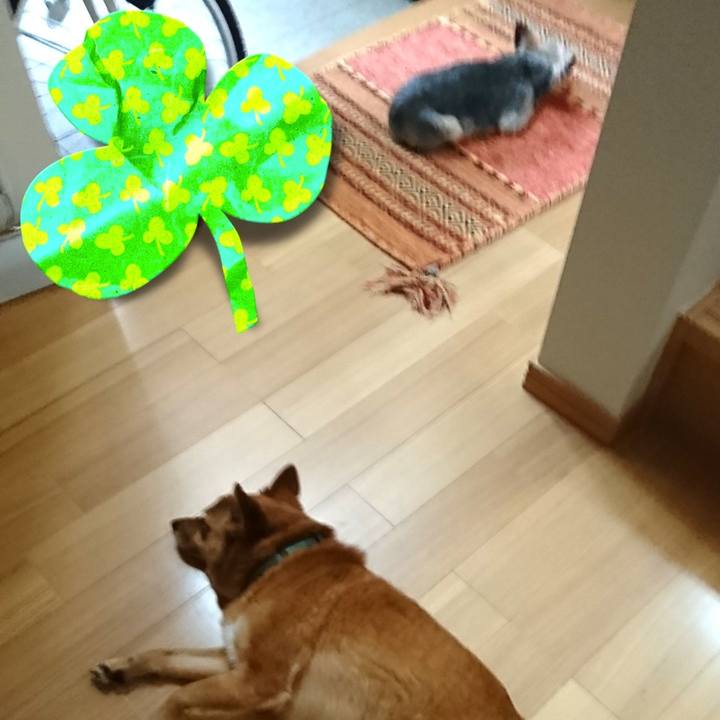 E3249144 d940 4946 af1e 5c47bcc4be84 1528591368757