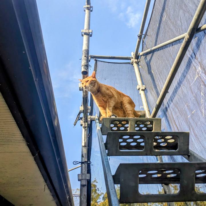 E32498ce 685c 4461 98d4 606dcbc1e96a 1773757948794