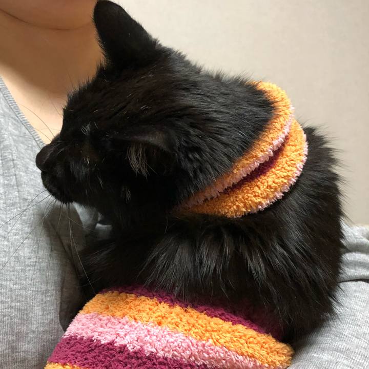 E324a954 705e 4293 8c32 a91b56e3d14f 1587992438190