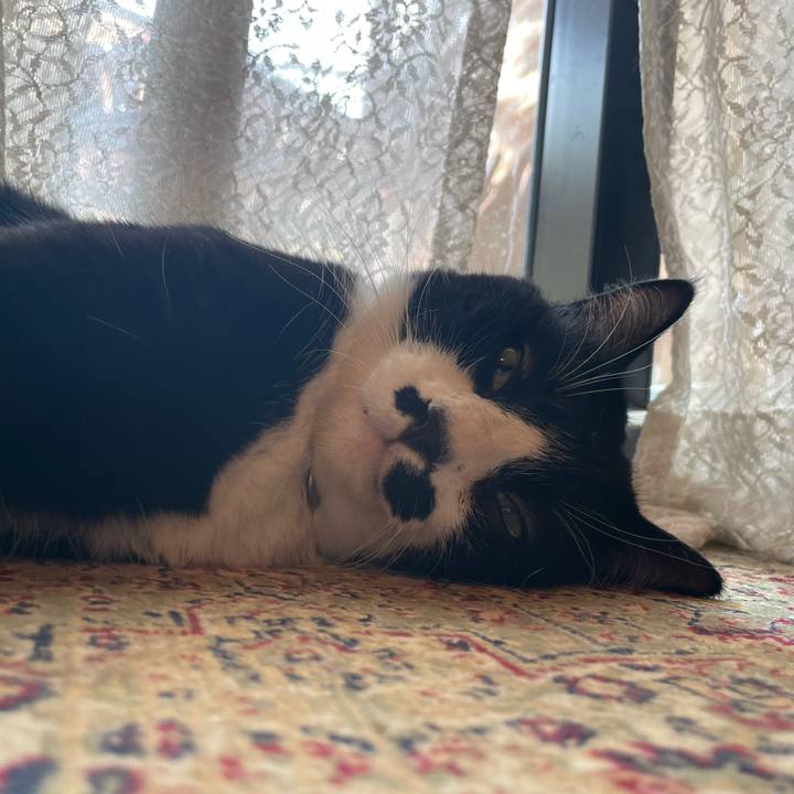 E324c174 9c8b 426c ab89 a29f1bf468fa 1725237782983