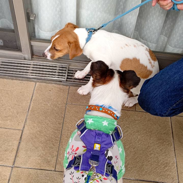 E324c932 7d92 49ad a03b 9db3eda10b7b 1624948649857