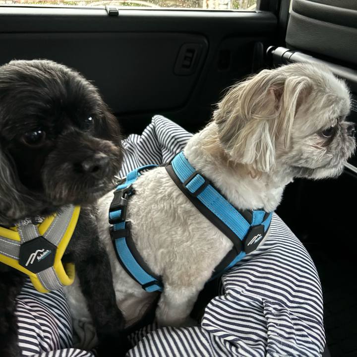 E324d842 0b84 4107 995f 20b6bd307922 1728173078030