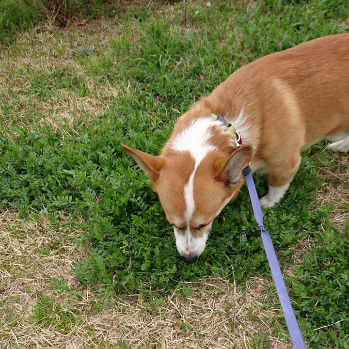 E324d9b2 f48d 4616 9168 582dcb642128 1584884676424