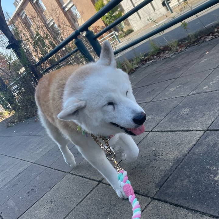 E324db02 0660 4cb7 b64a c1e5e6e5f902 1703423776819