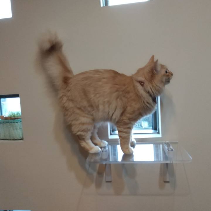 E324e0d2 3f32 403e 9fa7 b34132d14dac 1636586148448