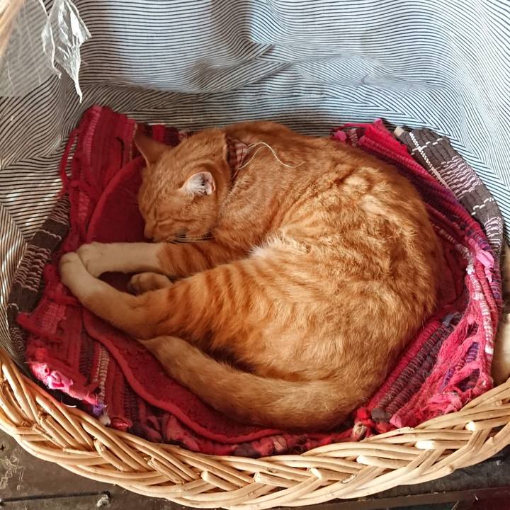 E3251e1d 1b48 44ca 9bf4 bc714e32d517 1567908807024