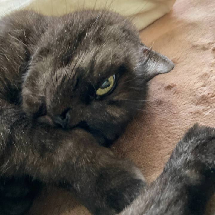 E3254807 ac0c 4c8c 8dc1 1438bef6d763 1628765276695