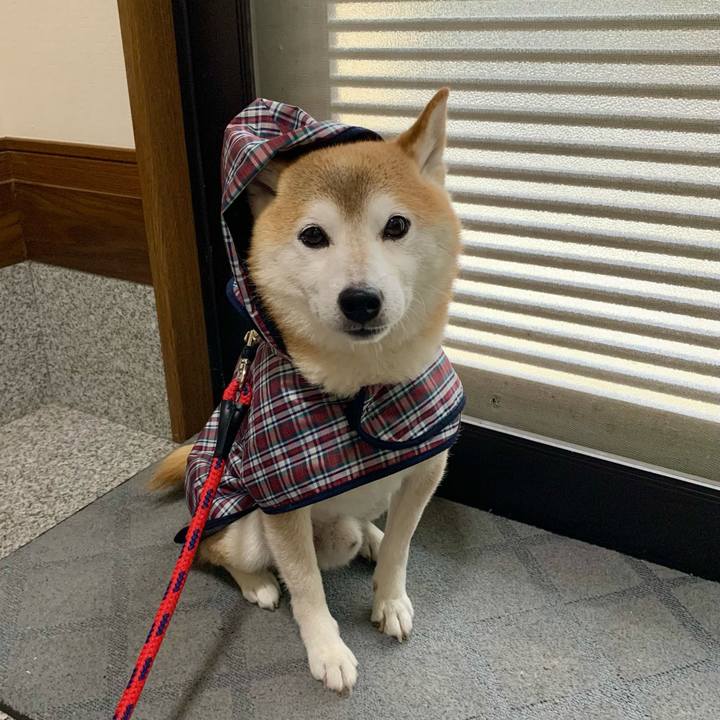 E3255027 b0c1 41c3 8469 239c8cc7e018 1692877051389