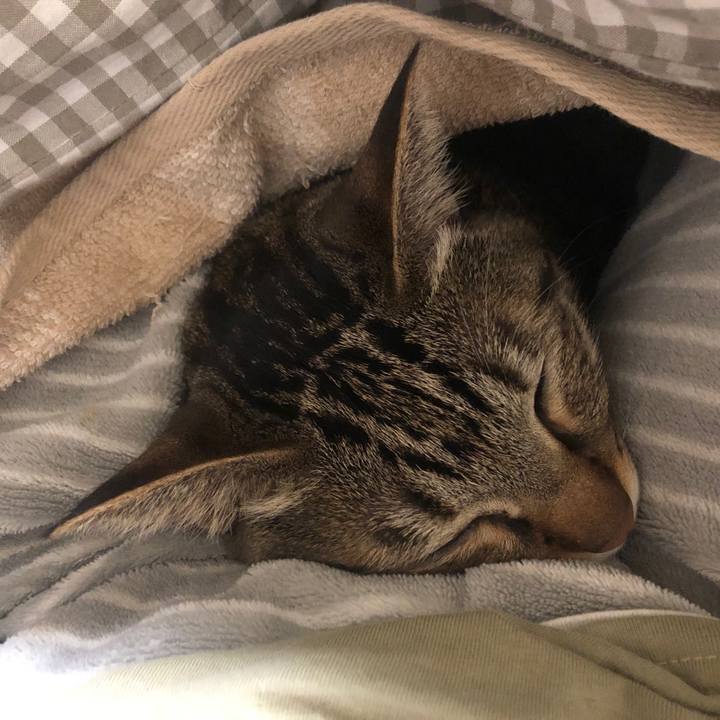 E325582a a82c 487e 9e33 102587351523 1587988097562