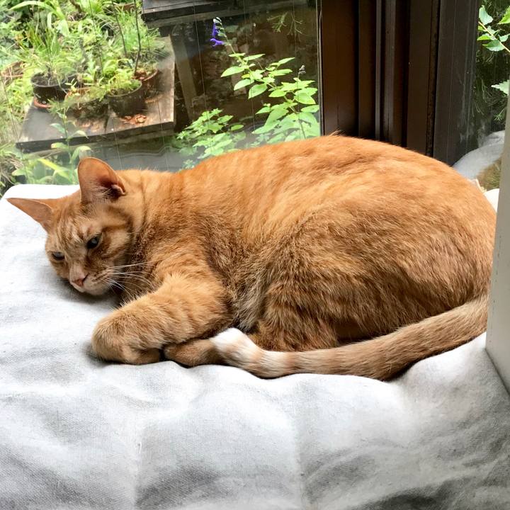 E325703f 4b54 4336 b818 36472a747592 1537503887288