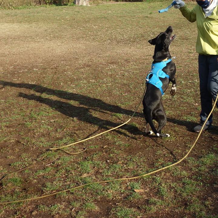 E325737d 56dd 4510 8e26 acd766db4eea 1615334995773