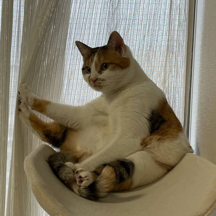 E325868b d002 4be6 a995 a0abaaff58dc 1611790427707