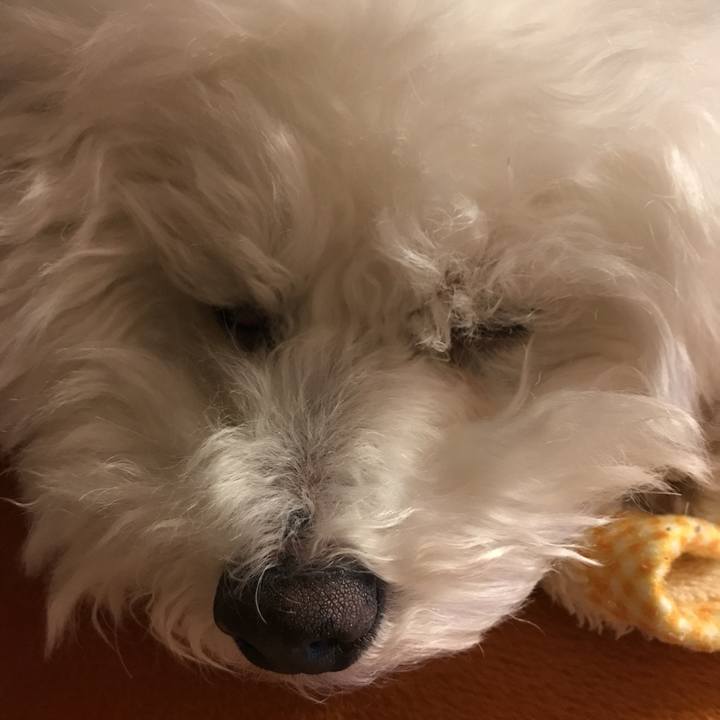 E3259208 76f0 4485 8719 5eed3d9a63df 1545055237175