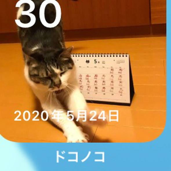E3259b84 9121 417a bcdb 9554713780b5 1717026199828