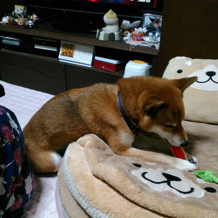 E325ebcd 1573 4a7d bc47 68304b87a8b5 1544093482978