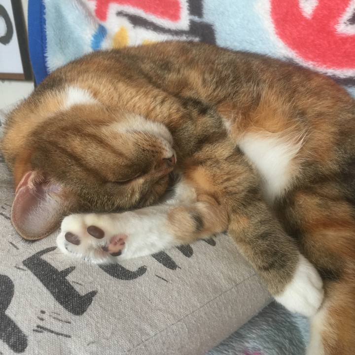 E325fa88 615e 4c33 85e8 3fccf29a067d 1572068465754