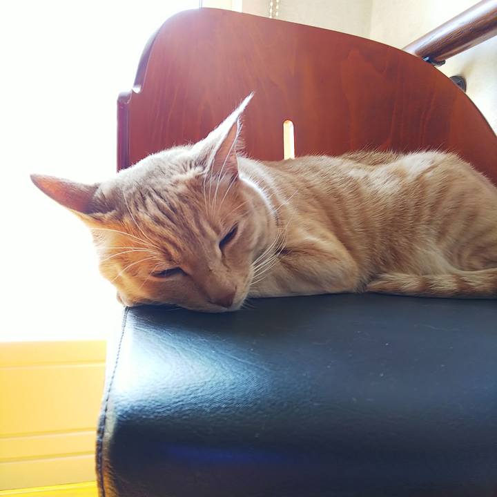 E3261a89 ebde 40c6 9dd1 f052eea54588 1585971777804