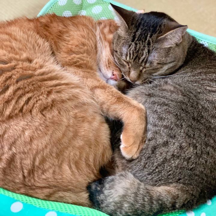 E3265dd5 145b 4fac a1e9 544b2ebe170e 1560835402323