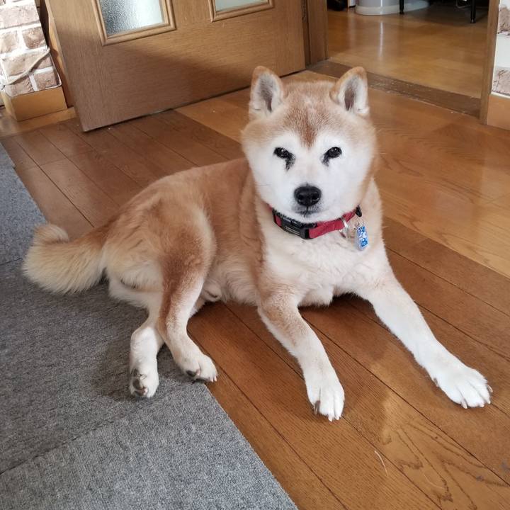 E3266782 96fa 44d2 b0ea 1b078b6f2ee9 1736817290470