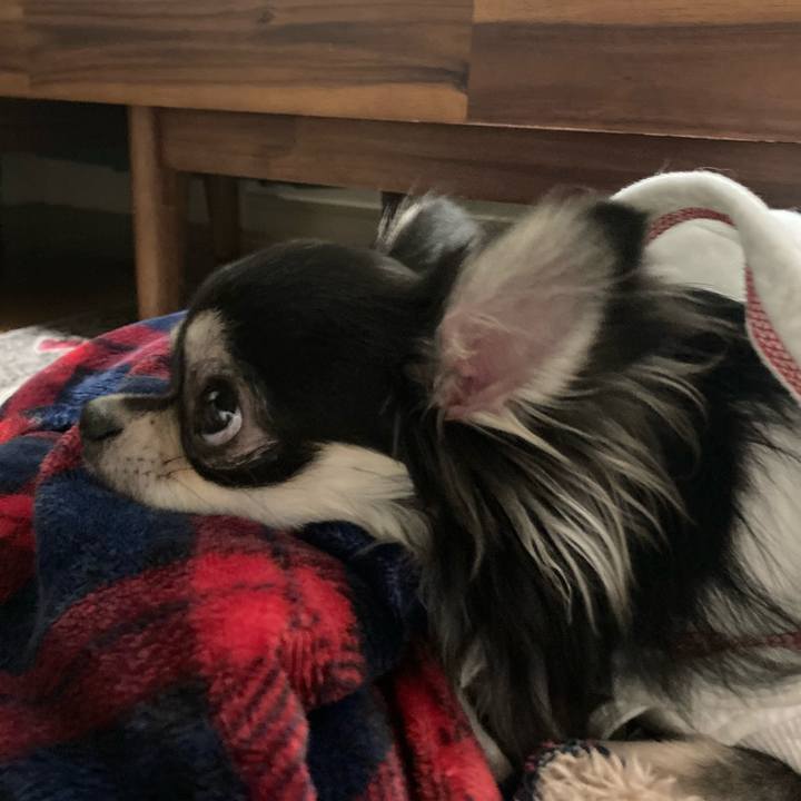 E326709e 26f6 4848 a93c ed288f65385e 1610808383270