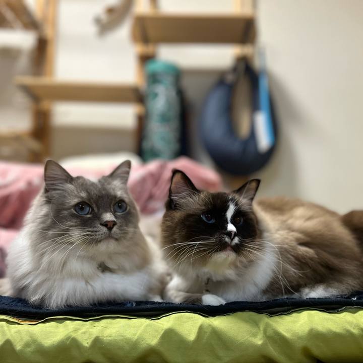 E3268ee0 5a4c 44ab a796 2b4fe9886101 1646306589576