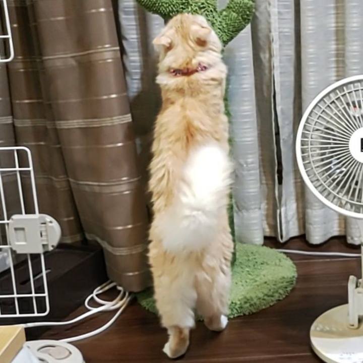 E326a9d7 7b30 4a0b 84c9 ff3e926a9f73 1699535187817