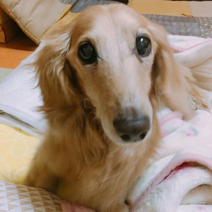 E326d10b c425 4f8e 9d03 2d4ff312fee0 1556114557256