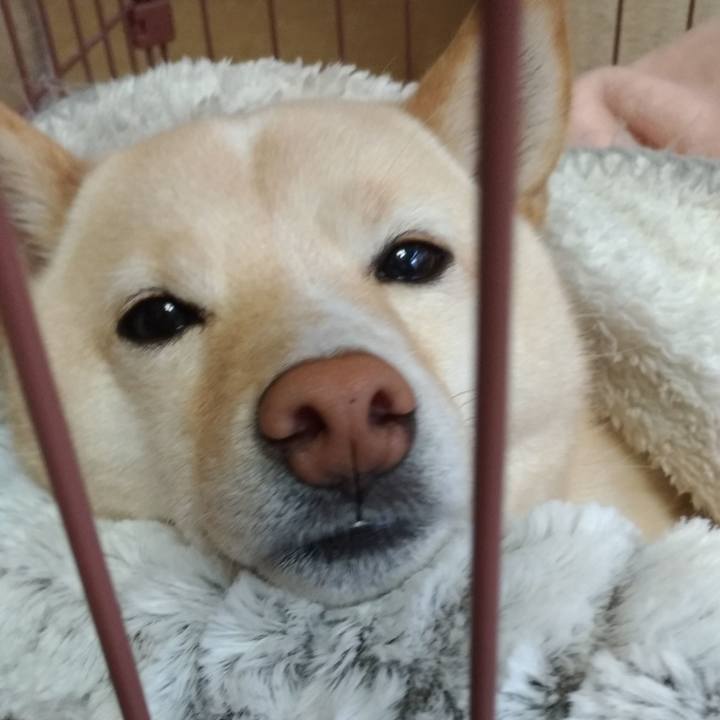 E326d3b1 1c42 4fae 809f 2ff0c7bb9017 1582261998472