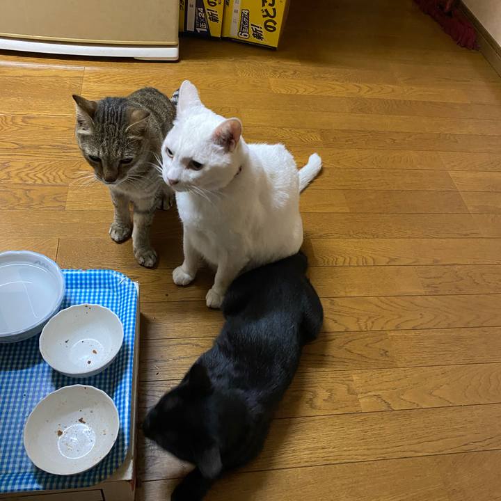 E326f707 157e 4fe0 80c3 5a1ef68d7945 1630441920217