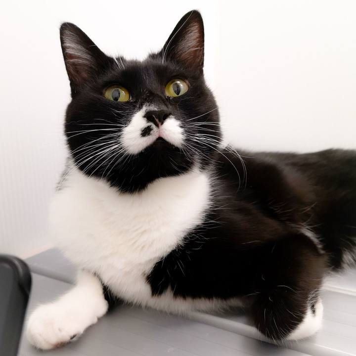 E3277cac 53e0 46c5 a646 16e11c7cd547 1547579905059