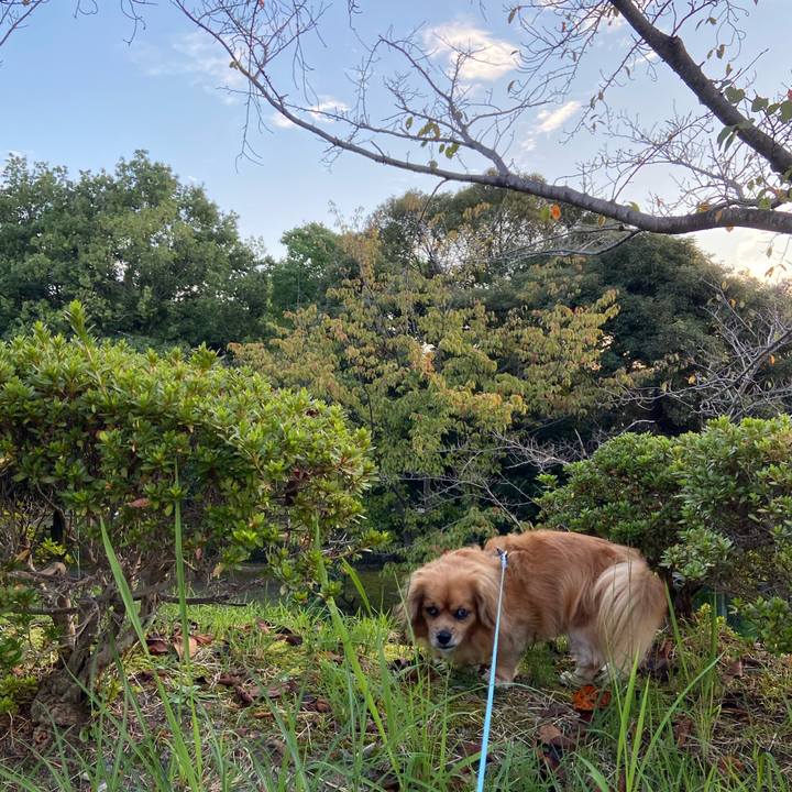 E327826b 0ad6 47a7 851f 25f406644fdf 1602021902213