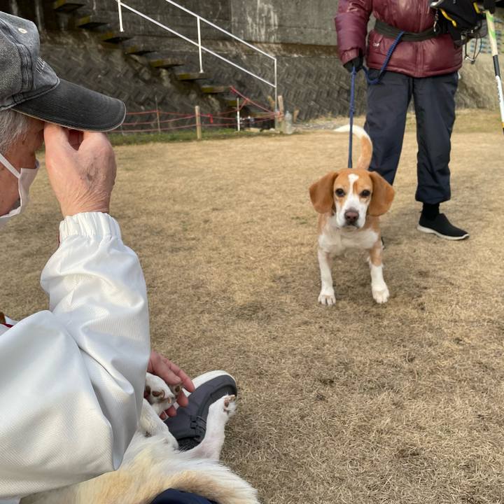 E327a0bb edb7 4537 a42d b89f5acfc43f 1677154402178