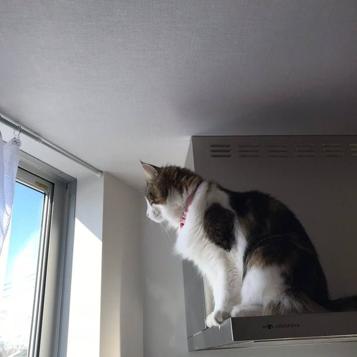 E32808c6 498d 4a3d a62b aed3080ae568 1516697251521