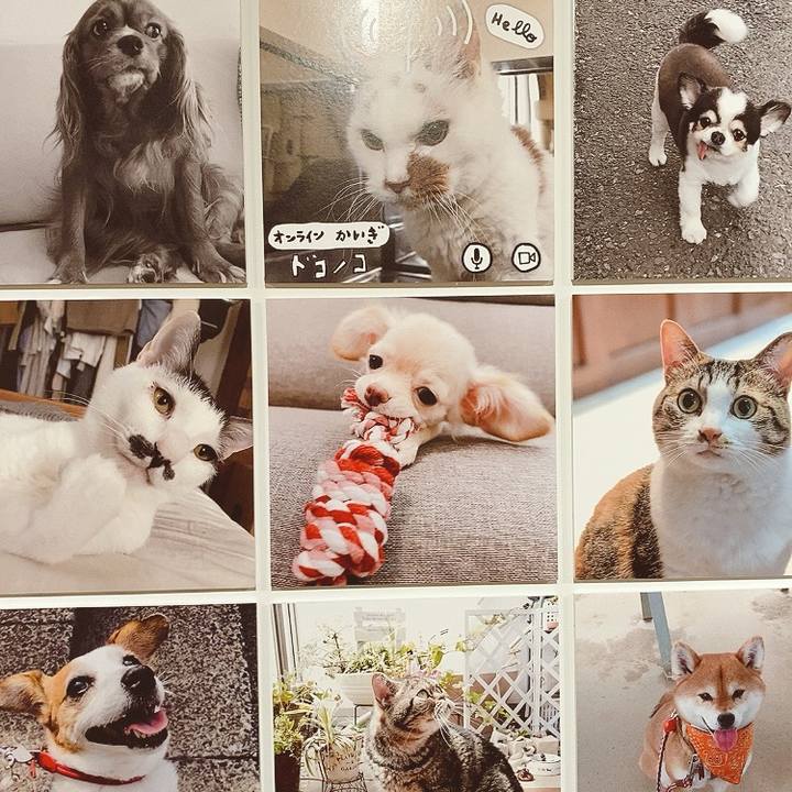 E3284956 d8d4 4982 aab5 3e96efb76ec8 1592130806513