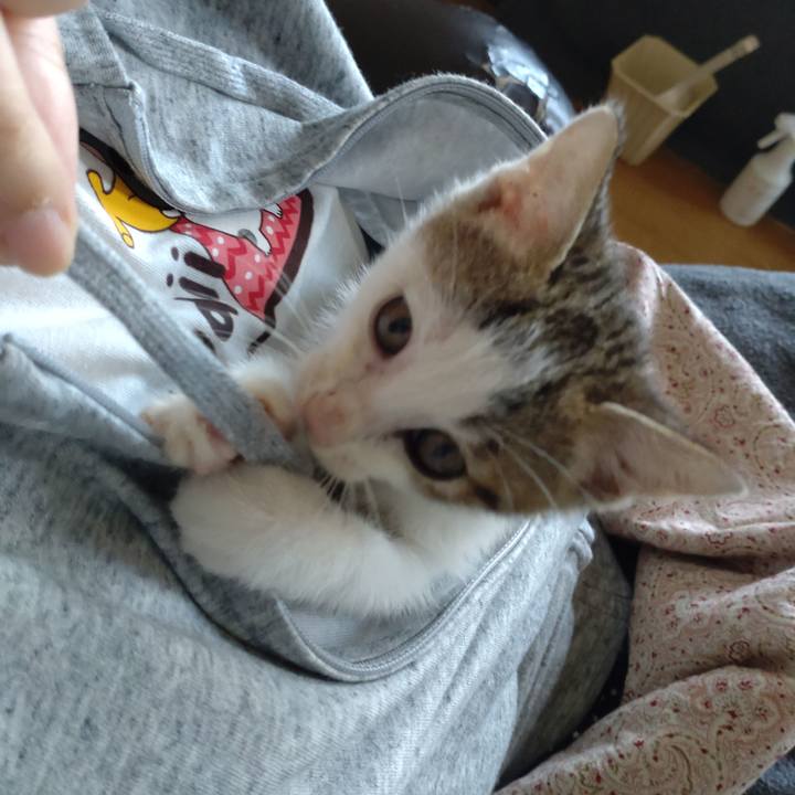 E3287770 fd89 4cca a349 7d5477b18c53 1632534168401