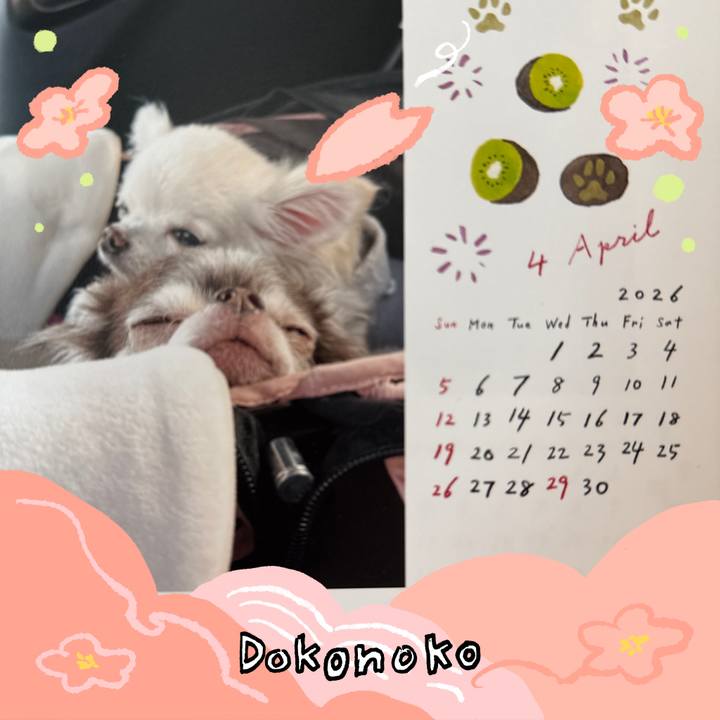 E328a290 731c 4e47 9235 6c07e927815c 1775434172713