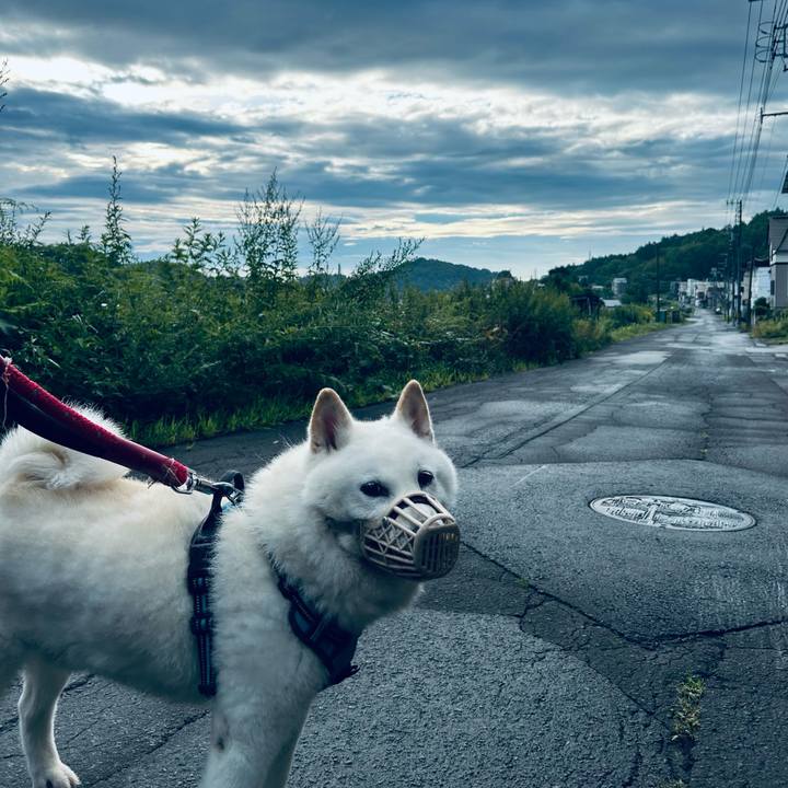 E328f31e c10e 4d62 a996 bb71f1cefba1 1754514656116