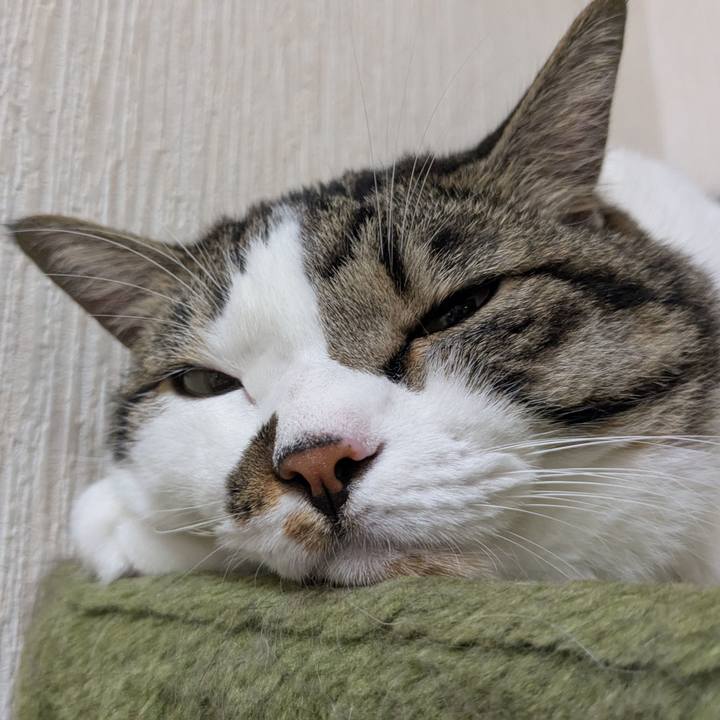 E328f42a 0177 4ece 80ff f4781b08f951 1755476939891