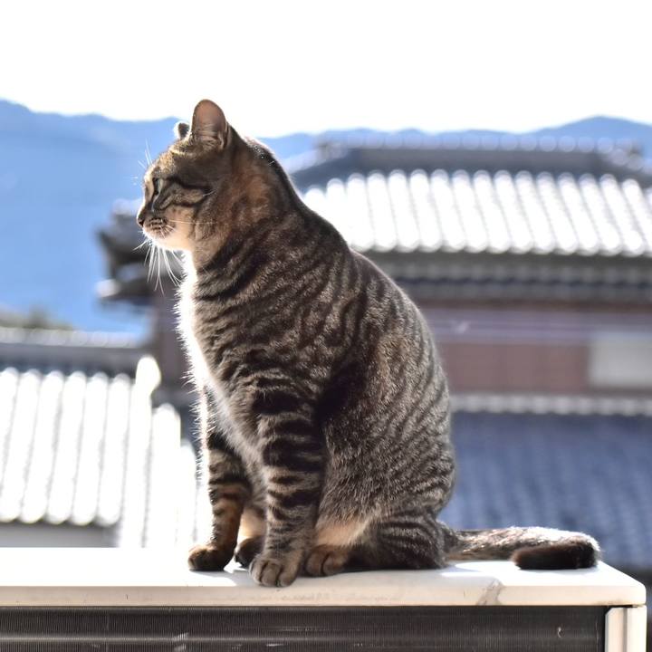 E3291622 c577 4f7e 8807 5eda28a2f0c8 1516934753605