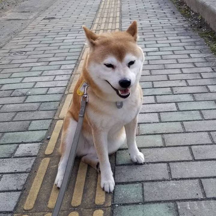 E3292833 34fc 48a6 8716 3203a448f139 1569828110520